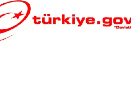 e-Devlet Kapısı Kayıtlı Kullanıcı Sayısı 20 Milyona Yaklaştı