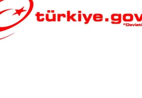 e-Devlet Kapısı Kayıtlı Kullanıcı Sayısı 20 Milyona Yaklaştı