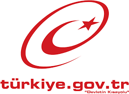 CEES (Citizen-Oriented Evaluation of E-Government Services) 